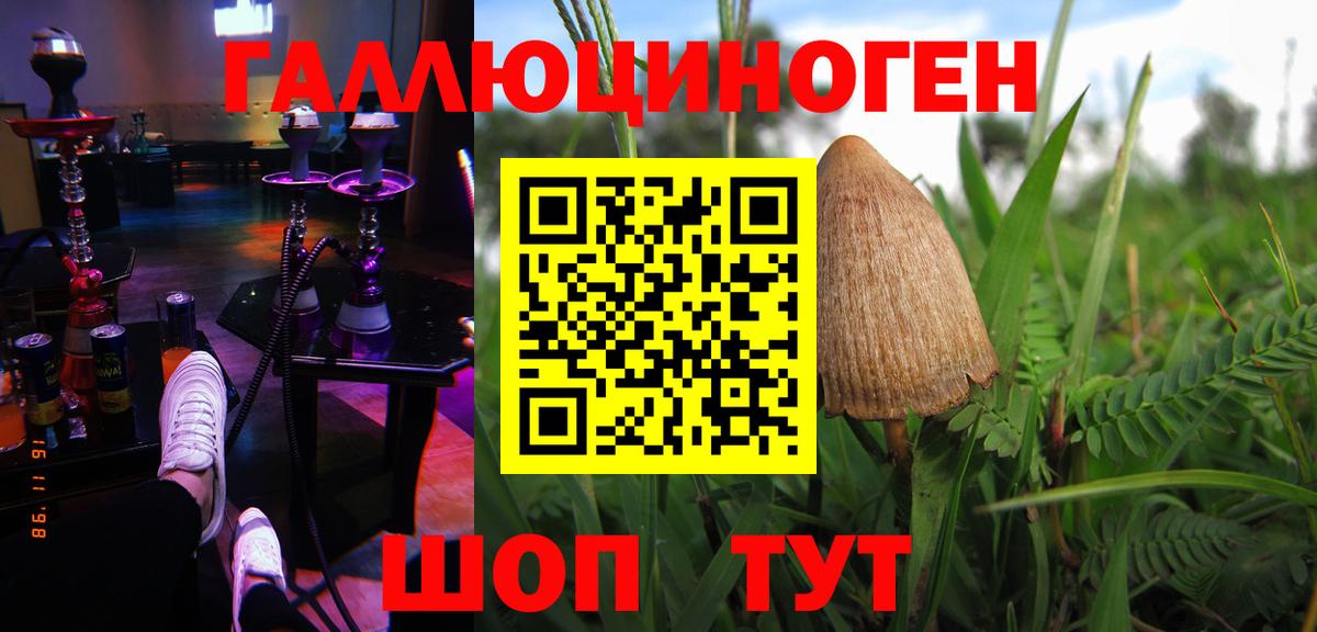 Псилоцибиновые грибы Psilocybe Ноябрьск